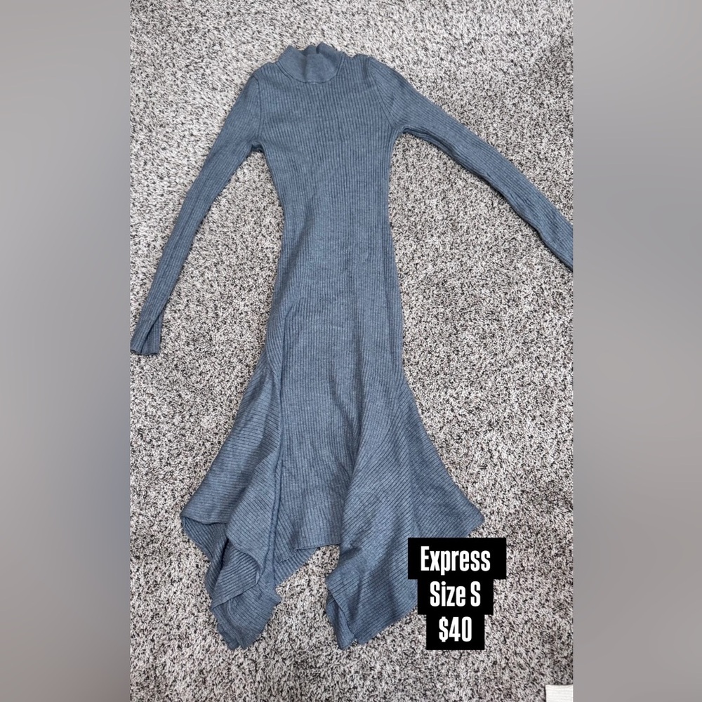 Express Blue Fit and Flare Long Sleeve Dress